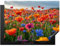 KitchenYeah© Herdabdeckplatte Einteilig Küche Ceranfeld Abdeckplatte Cerankochfeld Abdeckung Induktionskochfeld Schutzmatte Blumen - Mohnblumen - Blumenfeld - Pflanzen - Frühling - 70x52 cm