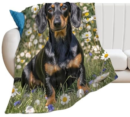 Pad-Dackel-Decke, superweicher Flanell-Überwurf, warme dekorative Plüschdecke für Couch, Sofa oder Bett, Herbstdekoration, Geschenk, super gemütlich und bequem für alle Jahreszeiten, 76 x 100 cm