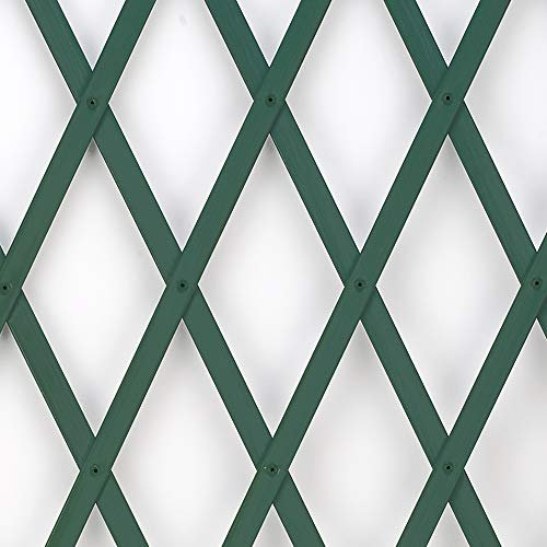 Tenax Treplas 1,00x1 m, Verde, Traliccio Estensibile in PVC per Sostegno a Muro di Fiori e Piante Rampicanti