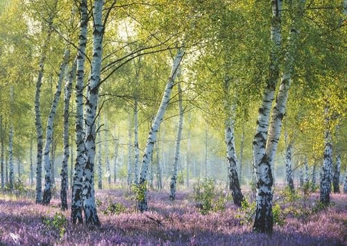 Ravensburger Puzzle 12000117 - Nature Edition, Birkenwald - 1000 Teile Puzzle für Erwachsene und Kinder ab 14 Jahren, Puzzle mit Landschaft und Natur