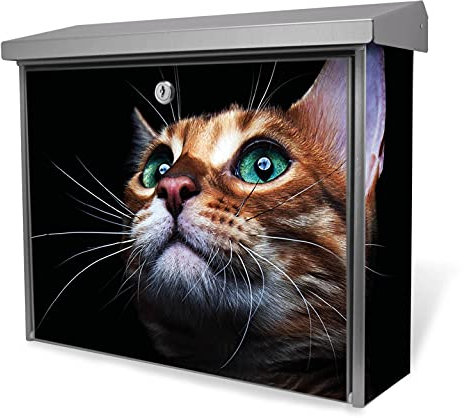 banjado® Burgwächter Briefkasten Edelstahl 38,5x31,5x12cm mit Motiv Esmeralda/Briefkasten Edelstahl ohne Zeitungsfach/Briefkasten grau/Postkasten inkl. Montagematerial & 2 Schlüsseln