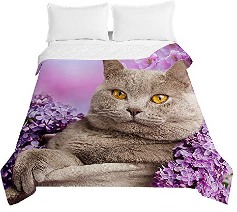 Surwin Trapuntino Copriletto Trapuntato Primaverile Estivo, Stile Moderno, Trapuntino in Morbida Microfibra Stampa Gatto 3D Leggero Coperta Letto Singolo Matrimoniale (Fiore Viola,230x260cm)