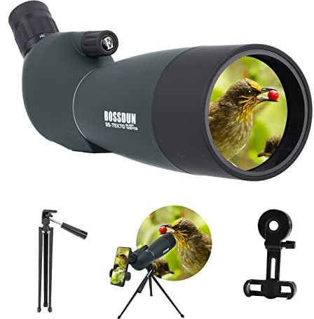 Longue-Vues avec Trépied,Sac de Transport et Adaptateur pour Smartphone pour L'observation des Oiseaux Visite Safari Observation des Oiseaux étoiles Tir à l'arc Camping Faune Paysage