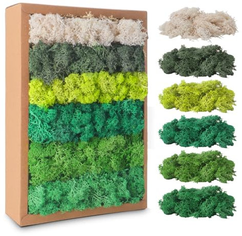 Islandmoos, Moos in 5 versch 200g für Moosbilder, Konserviertes Moos, Moos zum Basteln, Moos Deko, Künstliches Moos, Moos Konserviert, Deko Moos, Bastelmoos, Kunstmoos für Basteln (B)