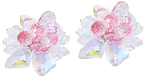 ANDRESLAD 2 Pz Fermaglio Per Scarpe Da Donna Accessori Per Scarpe Da Sposa Fermagli Per Decorazioni Di Scarpe Fibbia Per Scarpe Da Banchetto Fermagli Per Scarpe Da Matrimonio Rosa