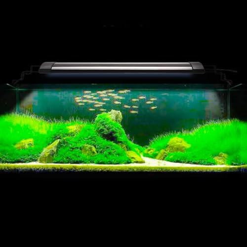 Kedia acuario iluminación, 24W Iluminación LED para acuario tanque de agua dulce, luz de tanque de pescado para 90-110cm tanque plantado