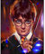 Haarry Potter 5D Diamond Painting Set, Anime DIY Bilder Diamant Malerei Kits für Kinder, Anime Tiere Diamant Kunst Handwerk Bild Kit, Zahlen Diamond Painting Zubehör für Geschenke, Wand, Wohnkultur