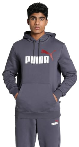 Puma ESS+ 2 Col Big Logo Hoodie FL Sweat Herren