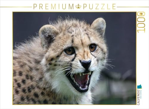 CALVENDO Puzzle Gepard | 1000 Teile Lege-Größe 64 x 48 cm Foto-Puzzle für glückliche Stunden