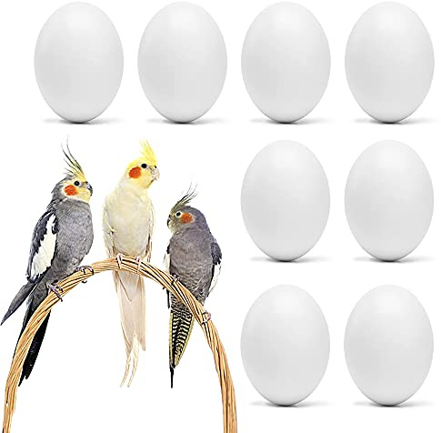WOLEDOE 8Pcs Fake Bird Eggs Stop Egg Laying for Cockatiel Lovebird Parakeet | Green Cheeks, Ringneck Dove, Lorikeet, Bourke Parakeet, Quaker Parrots