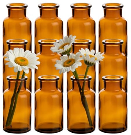 gouveo Juego de 12 jarrones de cristal Clear-Bottle antiguos 250 – jarrones redondos de cristal – jarrones decorativos para el hogar, bodas, cumpleaños o fiestas