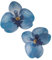 dekora – Fiori commestibili per torte – 10 orchidee in cialda blu 8.5 x 7.5 cm, Senza zucchero, glutine e lattosio, Decorazioni per cupcake, Torta di compleanno, matrimonio e battesimo