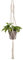 Artevasi Perchas de macramé, macetas Colgantes de Pared para Interiores, Cuerda de algodón Hecha a Mano, Soporte para macetas (39 Pulgadas, Blanco)