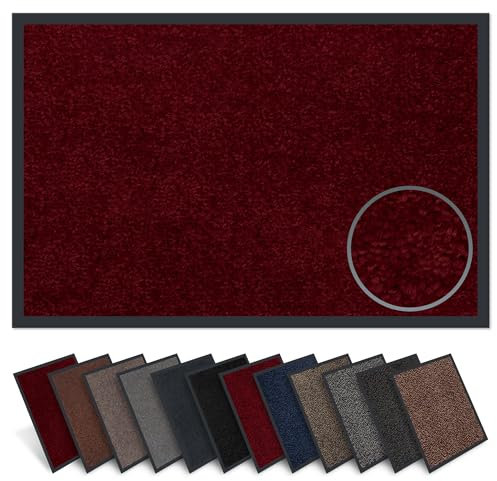 Carpet Diem Fußmatte, einfach sauber I Schmutzfangmatte Eingangsbereich - Fussmatte Innen & Außen, rutschfeste Türmatte, Schmutzfang Teppich für Haustür I Fußabtreter in Weinrot 40x60 cm