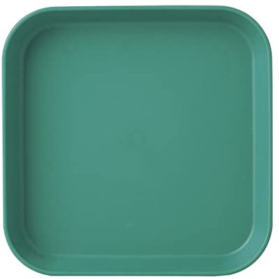 IEEDFJKK Piatti per Ossa allo spiedo Forma Quadrata Pasto per Biscotti Snack Piatto per Domestico Vassoio Stoviglie Piatti Stoviglie, Verde