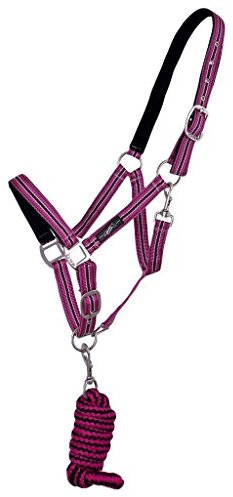 QHP Halfter-Set Halfter + Strick Karabiner Nylon mit Tasche Sommer 2018 (Pony, Fade)