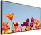 Ecowelle Infrarotheizung mit Bild | 750 Watt | 60x120 cm | Infrarot Heizung| | Made in Germany| a 61 Sprengtulpe