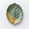 Decorative Glass Plate – Leaf Design in Green & Gold – Handcrafted Home Décor for Autumn & Special Occasions, Unique Gift Idea