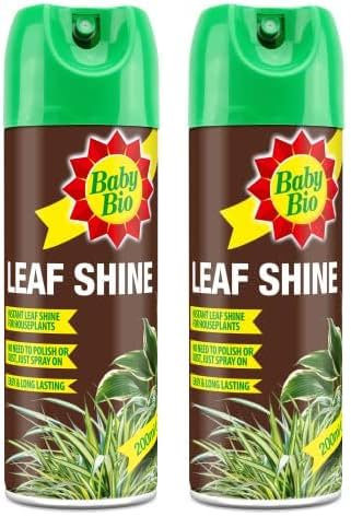 Baby Bio 84899143 Leaf Shine, 200ml - Ready To Use Houseplant Care - Aerosol Spray for a Natural Long Lasting and Healthy Shine - Removes Dust from Plant Leaves - Prevents Yellowing (Pack of 2)