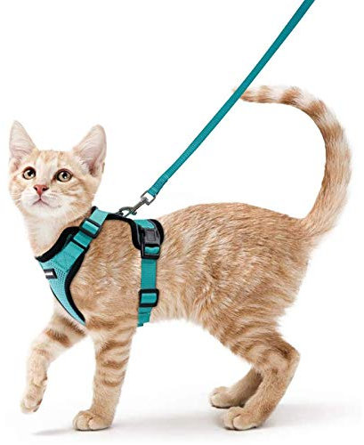 rabbitgoo Katzengeschirr mit Leine Softgeschirr für Katze Brustgeschirr Cat Harness Katzengarnitur ausbruchsicher verstellbar Katzenweste Grün S