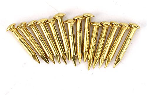 HAOHIZE Brass Small Nails,100Pcs Round Head Nail Brass Furniture Hinge Hardware Accessories 10mm/15mm/18mm/22mm (10mm Long)