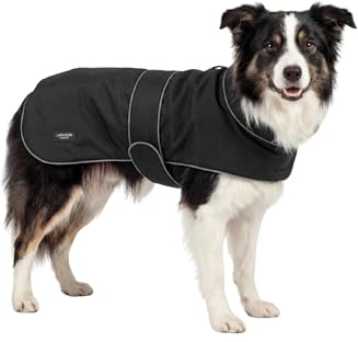 Larkson Hundemantel Schwarz - Jonte - Regenmantel für Kleine & Mittelgroße Hunde - 10000 mm Wassersäule - Verstellbar - Reflektierende Elemente