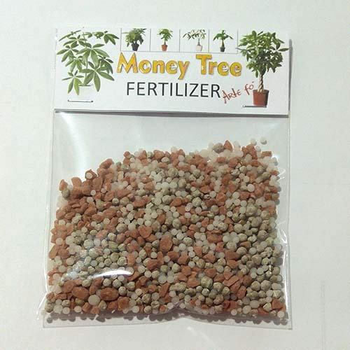 dgdfg Money Tree NPK fertilizer Pachira aquatica, Geldbaum, Money Tree, French peanut, Monguba enough for 20 liters
