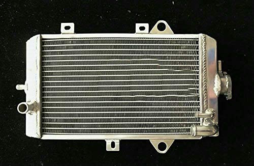 Aluminium Radiateur Pour Yamaha Raptor 700 YFM700R YFM 700R 2013-2020 2017 2018 2019 2016 2015 2014