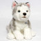 Husky SMILLA Schlittenhund Alaskan Malamute sitzend Kuscheltier Plüschtier Hund Plüschhund