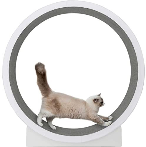 MLYYYDSS Katze Laufrad Laufrad für Katze Trainingsband mit Bodenbelag, Fitness Abnehmen Gerät drehendes Trainingsspielzeug,Loopfleece