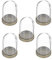 HOMSFOU 5Sets Micro Landscape Glass Dome with Base DIY Decor Tray for Home for Preserved Flowers Miniature Displays for Creative Terrariums and Unique
