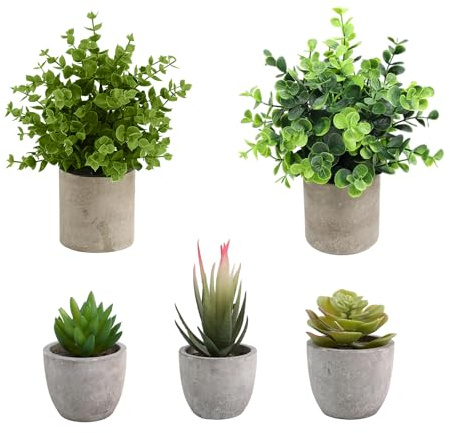 Hsyadazi 5 Stück Kunstpflanze, Mini Künstliche Pflanzen Schlangenzunge, Agave Sukkulente, Eagle Claw Aloe, Künstliche Pflanzen für Schlafzimmer Büro Dekoration (Saftig)