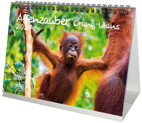Affenzauber Orang-Utans DIN A5 Tischkalender für 2027 Affen - Seelenzauber