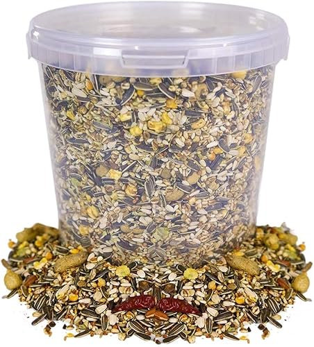 BusyBeaks African Grey Parrot Food | High Energy & Protein NO1 Mix | Nutritious Wild Garden Bird Feed | Additive Free Cleaned to 99.9% Purity | Provides Both Mental and Physical Stimulation (5L Tub)