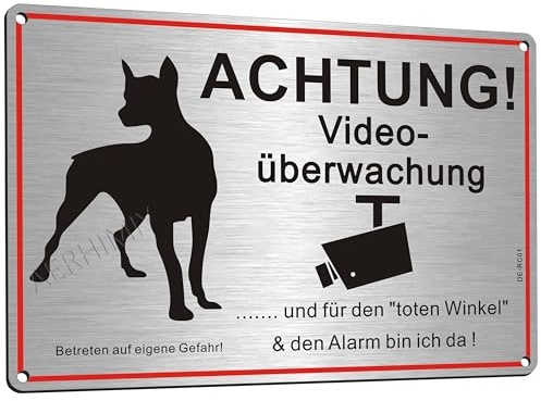 Schild Videoüberwachung und Hund Metall 30x20cm, Schild Freilaufender Hund Videoüberwachung Gebürstetes Alu