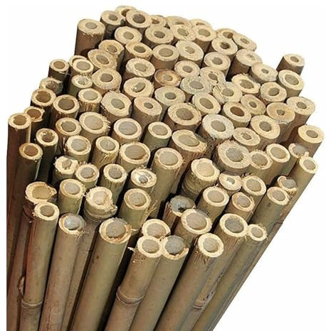 NG NICCOLAI - CANNE BAMBOO PER SOSTEGNO ORTAGGI, ARREDAMENTO E ALTRI USI - VARIE ALTEZZE E MISURE CONFEZIONI DA 10-25 - 50 PEZZI (10, H.210 cm - Ø 18-20 mm)