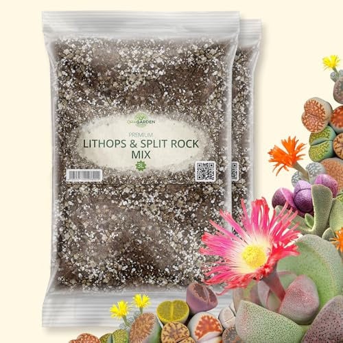 ORAGARDEN Kakteenerde & Sukkulenten Erden für Zimmerpflanzen und Garten - 6L Kakteen Erde für Pflanzen, Palmen, Blumen - 6 Komponenten Substrat