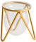 VANZACK Pflanzen-Terrarium Mit Metallständer 1 Set Hydrokultur-Pflanzen-Terrarium-Vasen Desktop-Luftpflanzgefäß Glühbirnen-Glasvase Für Zimmerpflanzen Heimdekoration Gold