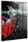Wallfluent Für die Küche Badezimmer und Schlafzimmer Wanddekoration Mit Motiv 70x100cm Glasbild Bild Dicke 4mm Wandbild Gehärtetes Glas - Fische im Aquarium