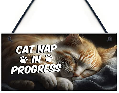 Red Ocean Novelty Cat Signs For Home CAT NAP IN PROGRESS Funny Cat Signs For Cat Lovers Cat Gifts Cat House Sign Friendship Gifts For Men Women