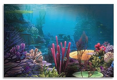 WELYK Sea Life Poster Unterwasserkorallenposter, dekoratives Gemälde, Leinwand-Wandposter und Kunstdruck, modernes Familienschlafzimmer-Dekor-Poster, 30 x 45 cm