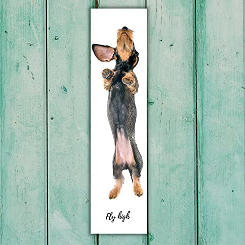 Rauhaardackel Dackel Schild Fly high Spruch Türschild Warnschild Fun cool Design Geschenkidee lustiger Spruch Hundemotiv Aluminium Wetterfestes Dekoschild