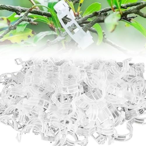 Gesicherter Pflanzen Kunststoff Clip, 2025 Neu Pflanzenclips, 100/200/300 Stück Pflanzen Clips, Pflanzenklammern, Tomatenclips, Pflanzenstützclip für Kletterpflanzen Gurken Tomaten (50, Transparent)