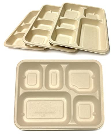 DISPOSABLE GREEN® | Bagasse Compartment Plates| Super Strong | Unbleached Sugarcane Bagasse | Home COMPOSTABLE, Biodegradable, ECO Friendly (200, 5 Compartment Plate)