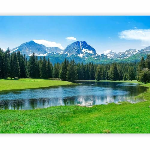 murando Fototapete Landschaft 350x270 cm Vlies Tapeten Wandtapete XXL Moderne Wanddeko Design Wand Dekoration Wohnzimmer Schlafzimmer Büro Flur Natur Wald Fluss Gebirge 100403-127