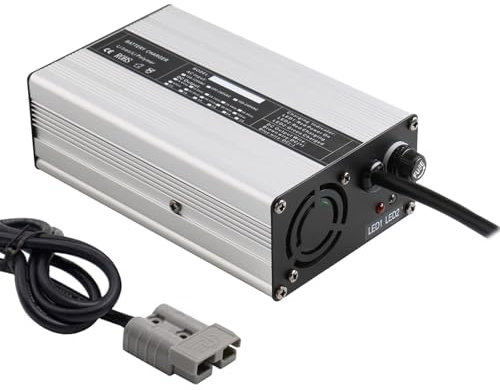 Lzyjck Chargeur de Batterie 240W Chargeur de Batteries au Plomb 36V 5A Chargeur 36 Volts pour Batterie de voiturette de Golf Chargeur de Chariot élévateur électrique,4#
