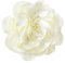 LOZTBUE 1 Stück Rosen-Blumenbrosche, große Musselin-Brosche, Haarspange, klassisch, elegant, handgefertigt, Blumenbrosche, geeignet für Hochzeit, Party, Tanz (Milchig weiß)
