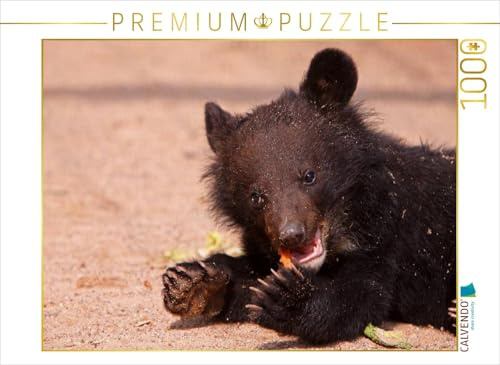 CALVENDO Puzzle Kragenbär Baby | 1000 Teile Lege-Größe 64 x 48 cm Foto-Puzzle für glückliche Stunden