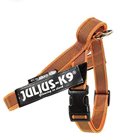 Julius-K9, Color & Gray, Beltgeschirr