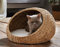 Tierbett Kuschelhöhle aus Wasserhyazinthe, Ø 50 cm, inkl. Kissen, Katzenkorb, Katzenbett, Hundebett, Hundekörbchen